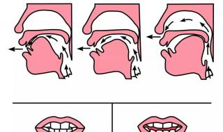 前鼻音和后鼻音有哪些 前鼻音和后鼻音